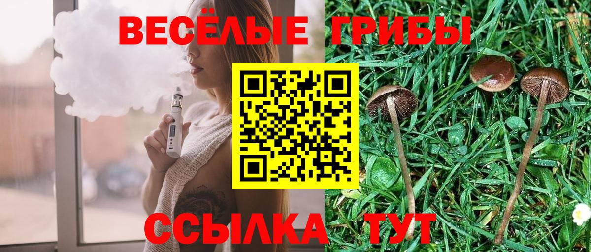 Галлюциногенные грибы Psilocybine cubensis Ступино