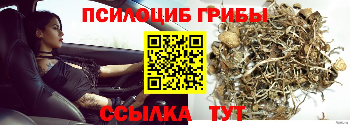 Ступино  Псилоцибиновые грибы ЛСД  Псилоцибиновые грибы мицелий  Вход с VPN 